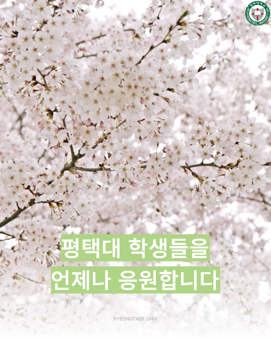 응원합니다