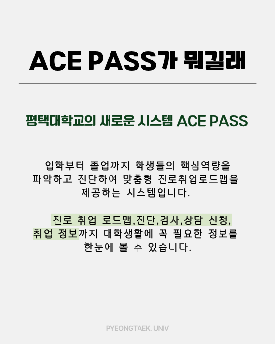 ace pass가 뭐길래