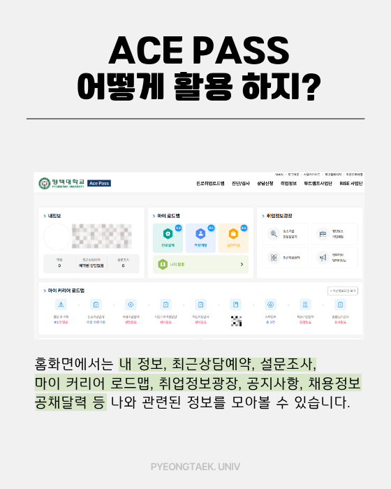 ace pass 어떻게 활용하지?