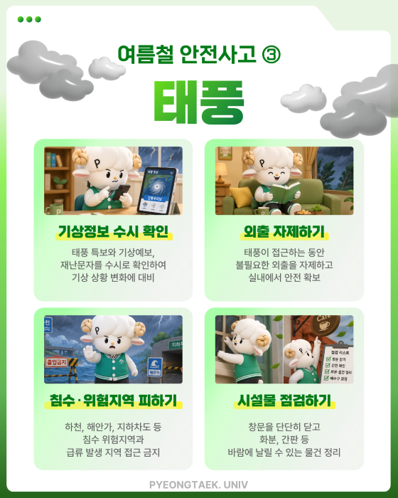 태풍
