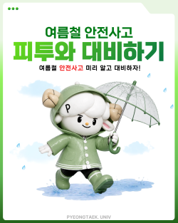 여름철 안전사고 피투와 대비하기 대표이미지